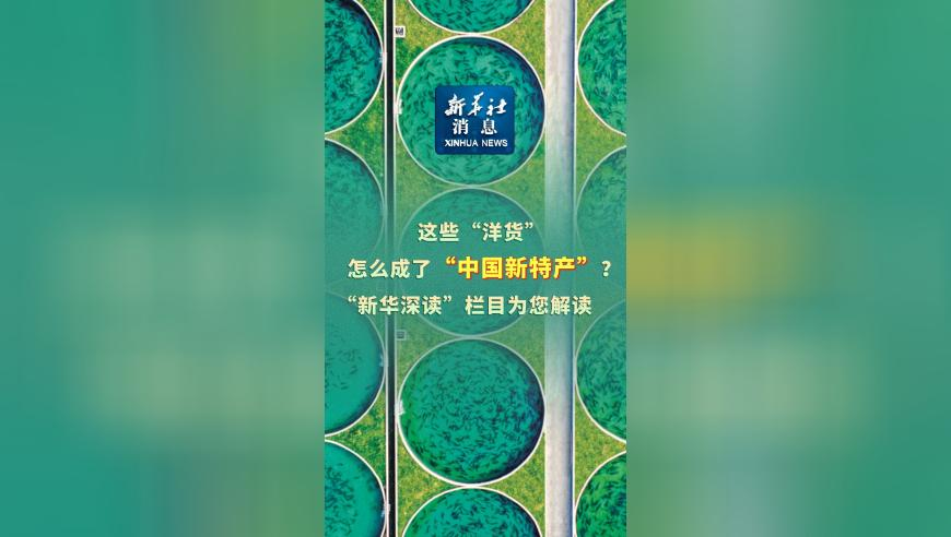 哪吒2香港公映首日获九成影院排片,香港澳门6合彩网址开奖结果,作答解释落实的民间信仰_VR版V12.6