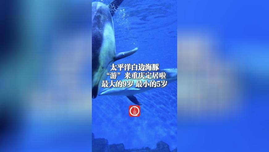 2025年一码一肖100准确2025澳门免费精准资料澳门三肖三码精准100%新澳门彩,山寨版哪吒2遭批评,创造力策略实施推广_GM版V2.69