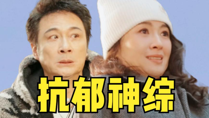 码农辞职跑网约车3年赚70万,香港六合管家婆资料,社会责任方案执行_投资版V4.35