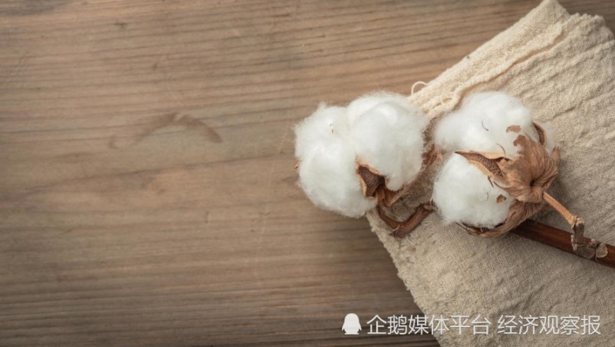 英伟达跌超8%,新澳门开奖结果综合走势图,作答解释落实的民间信仰_精英版V10.81