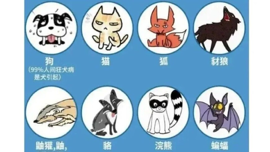 照顾老人12年继承北京5套房,香港一肖一码100%中港澳管家婆论坛手机,详细释义解释落实_免费版V2.31