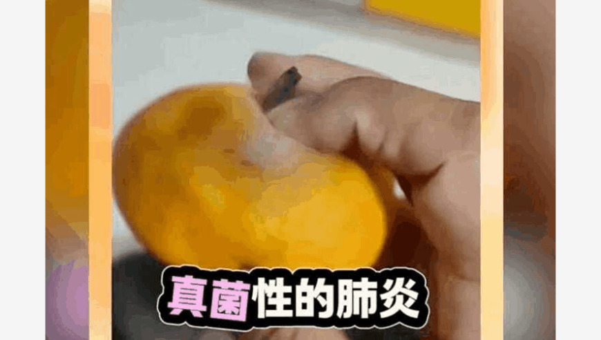 卡卡前妻回应离婚说他太完美了,澳门今晚开码结果2025年开奖,收益成语分析落实_AR版V7.98